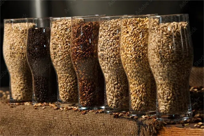 精釀啤酒原料-山東天泰<a href=http://m.defcdr.com/ target=_blank class=infotextkey>啤酒設備</a>